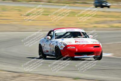 media/May-24-2025-Turn8 Trackdays (Sat) [[034586b55d]]/1 Advanced 2/Session 2 (Cotton Corners-Grapevine)/